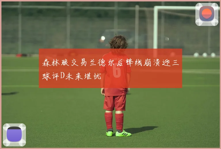 森林狼交易兰德尔后锋线崩溃迎三球评D未来堪忧