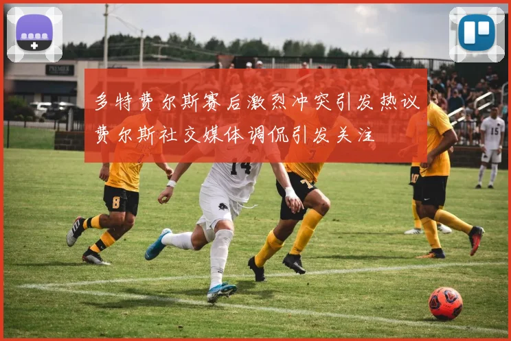 多特费尔斯赛后激烈冲突引发热议费尔斯社交媒体调侃引发关注